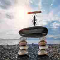 精​准​SEO优﻿化​插﻿件‍